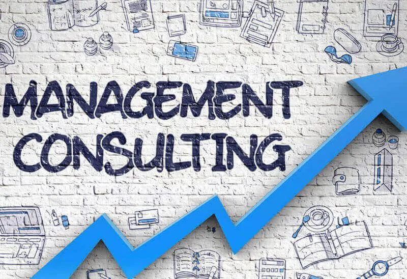Consultancy services in Company management